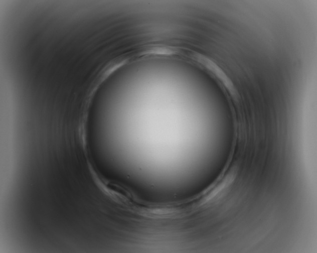 X0000094331433200711161941
