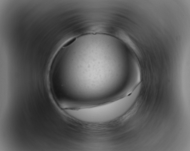 X0000094331434200711161941