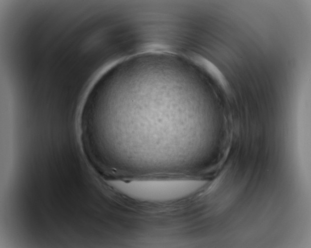 X0000094331435200711161941