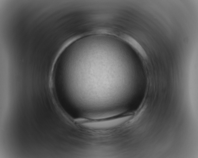 X0000094331436200711161941