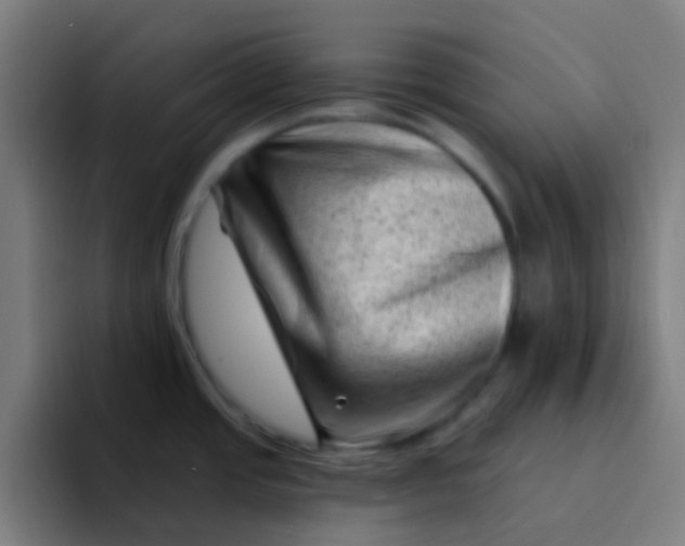 X0000094331437200711161941