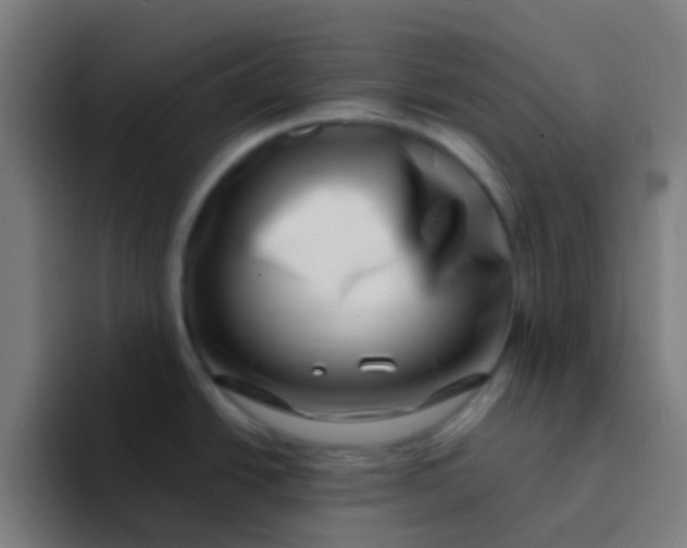 X0000094331438200711161941