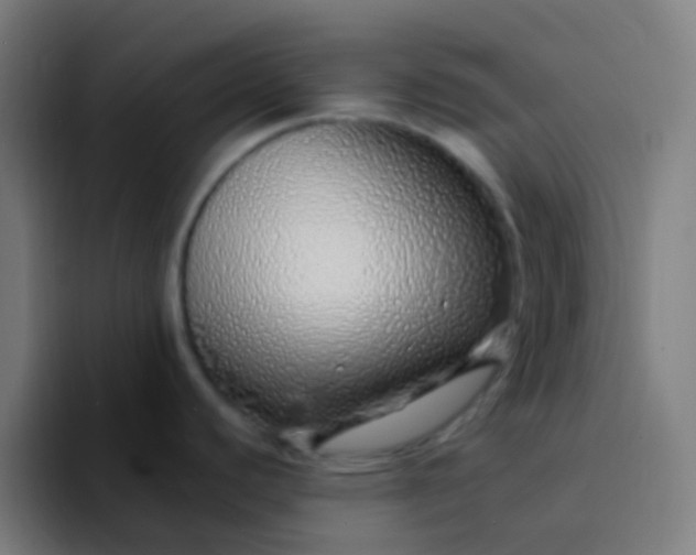 X0000094331440200711161941