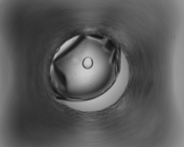 X0000094331441200711161940