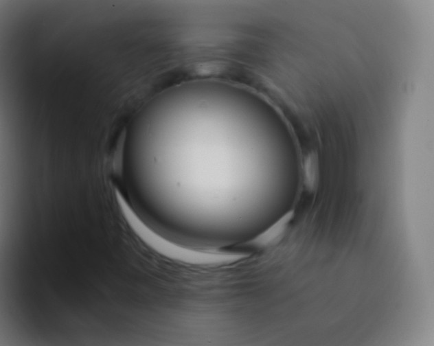 X0000094331443200711161940
