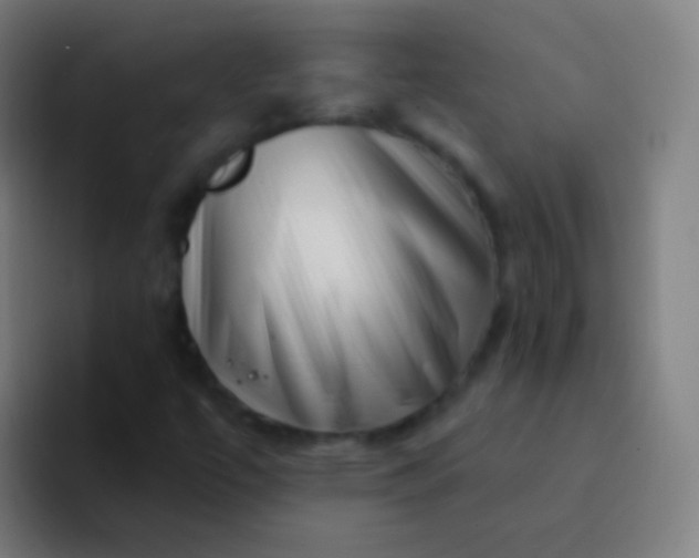 X0000094331447200711161940