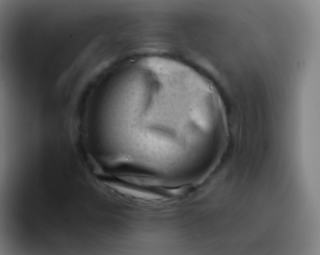 X0000094331448200711161940