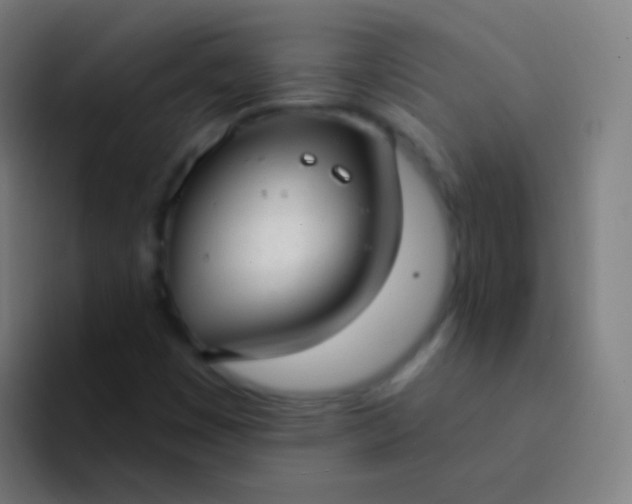 X0000094331449200711161940