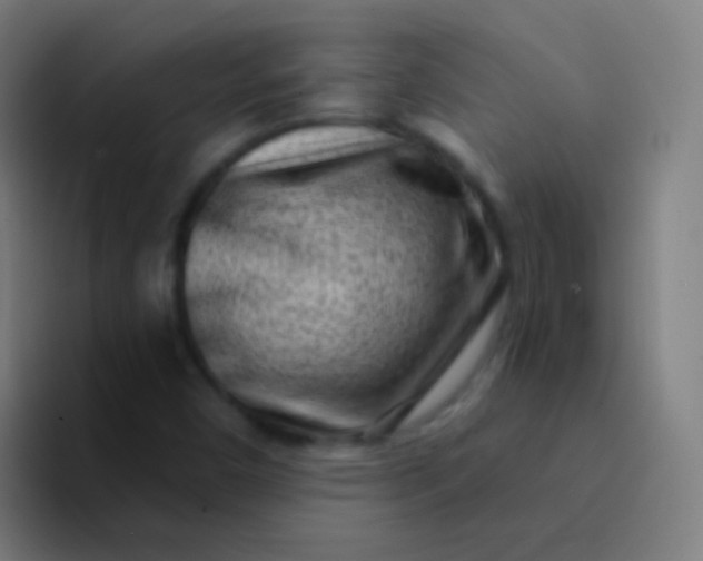 X0000094331450200711161940