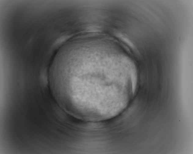 X0000094331451200711161940