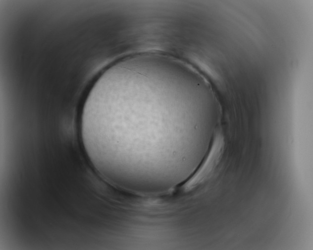 X0000094331452200711161940