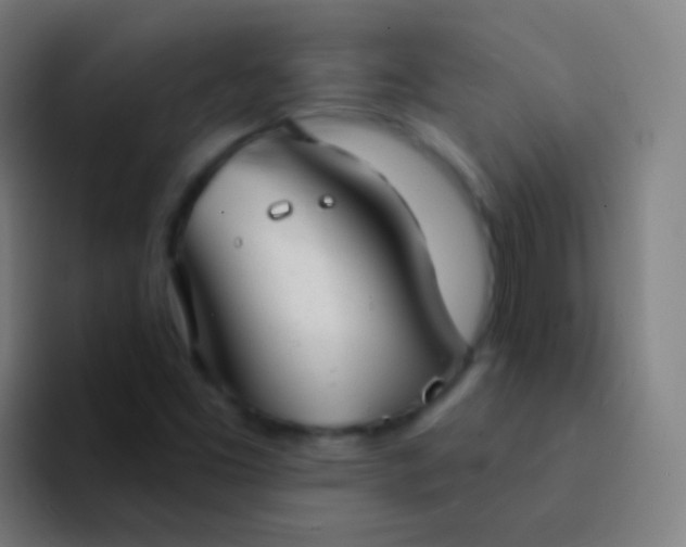 X0000094331453200711161940