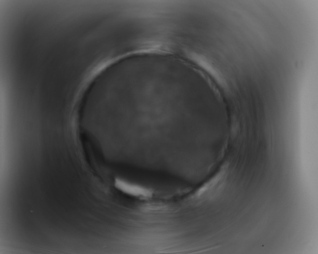 X0000094331455200711161940