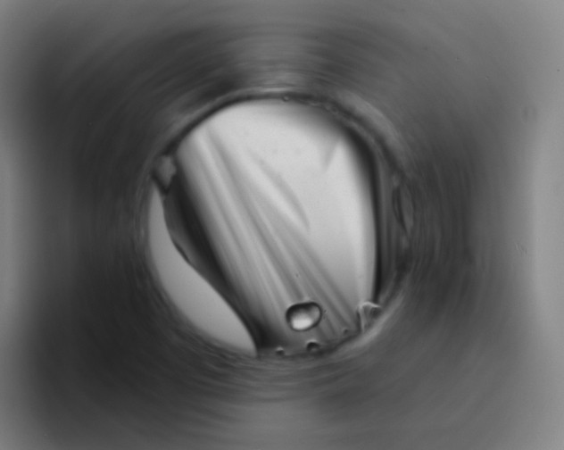 X0000094331457200711161940