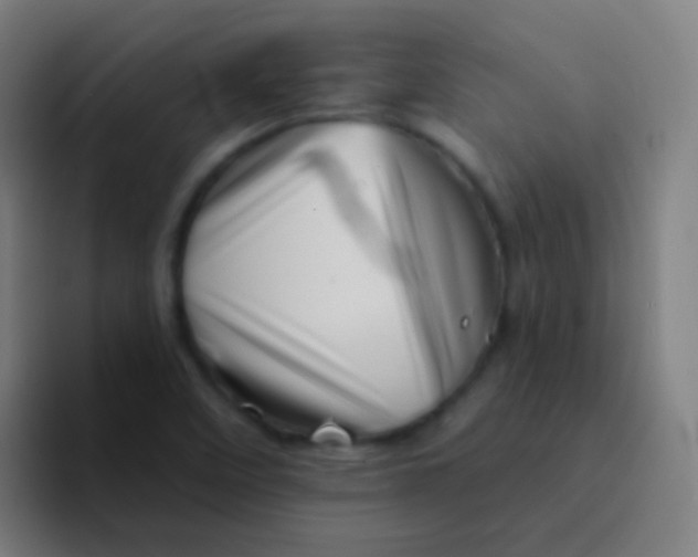 X0000094331458200711161940