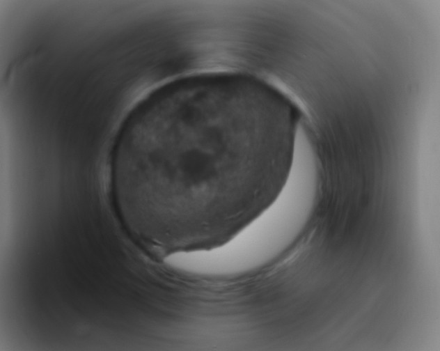 X0000094331459200711161940