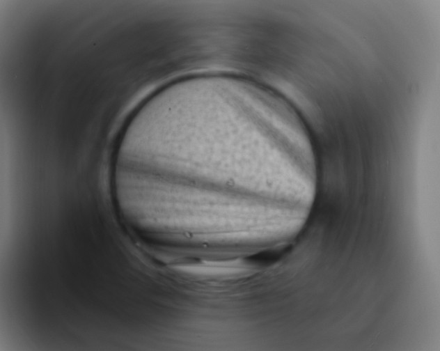 X0000094331460200711161940