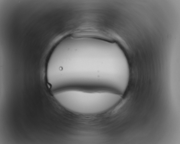 X0000094331461200711161940