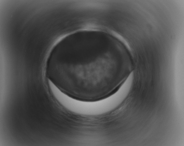 X0000094331463200711161940