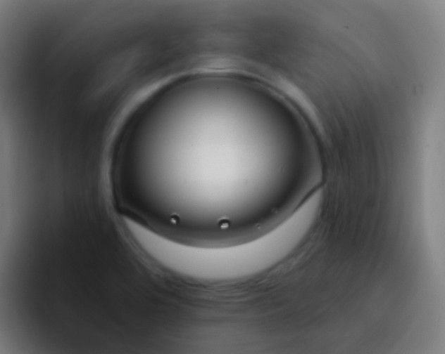 X0000094331464200711161940