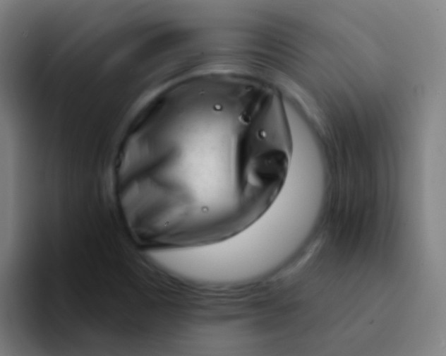 X0000094331465200711161940