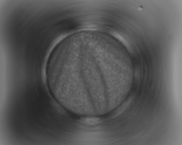 X0000094331466200711161940