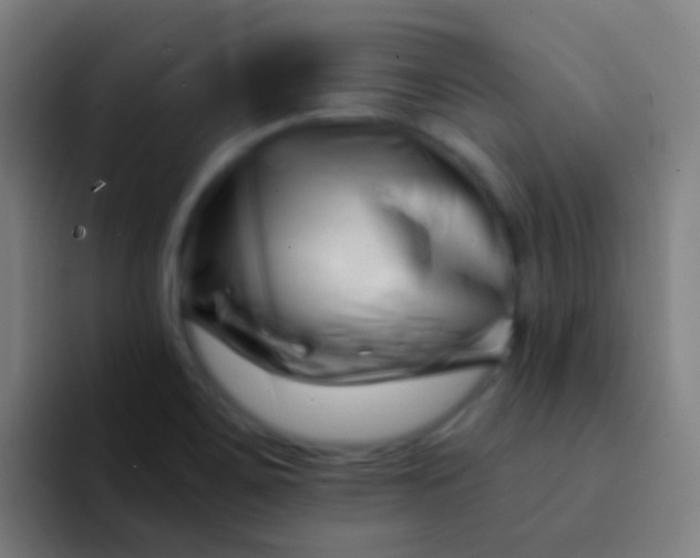 X0000094331467200711161940