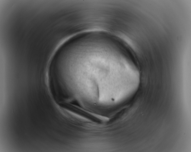 X0000094331468200711161940