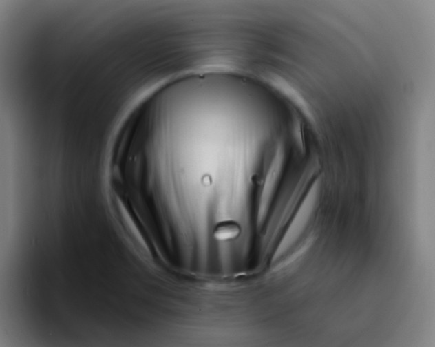 X0000094331469200711161940