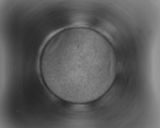 X0000094331470200711161940