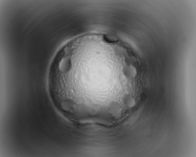 X0000094331471200711161940