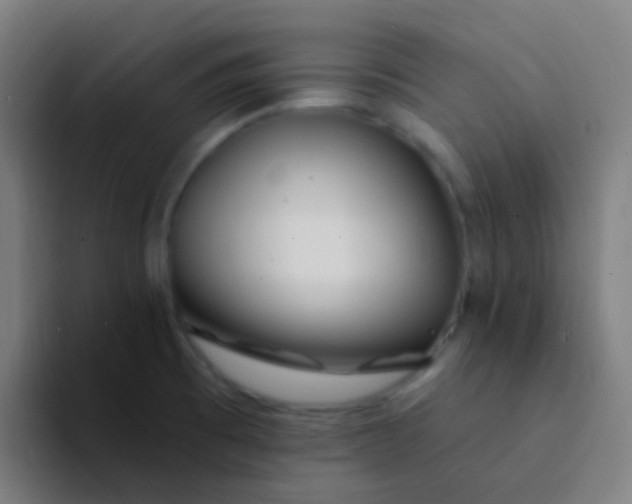 X0000094331473200711161940
