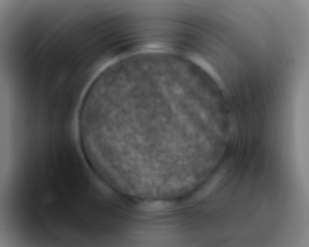 X0000094331474200711161940