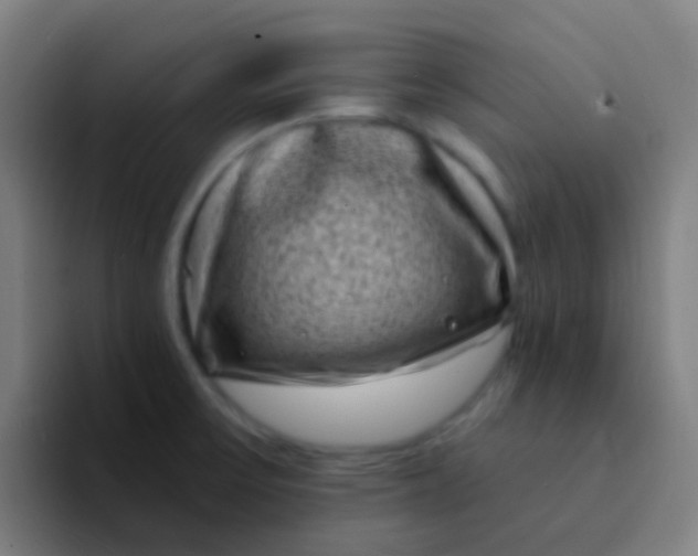 X0000094331475200711161940