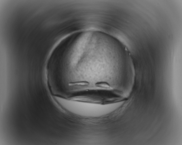 X0000094331476200711161940