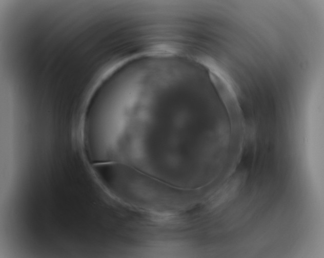 X0000094331477200711161940