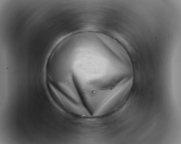 X0000094331479200711161940