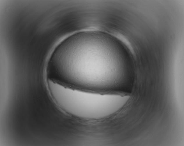 X0000094331480200711161940