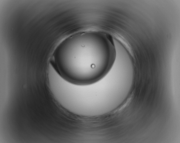 X0000094331481200711161940