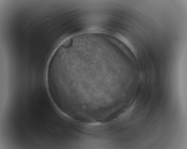 X0000094331482200711161940