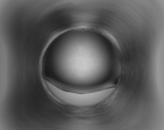 X0000094331483200711161940