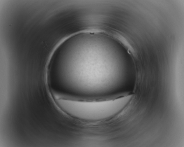 X0000094331484200711161940