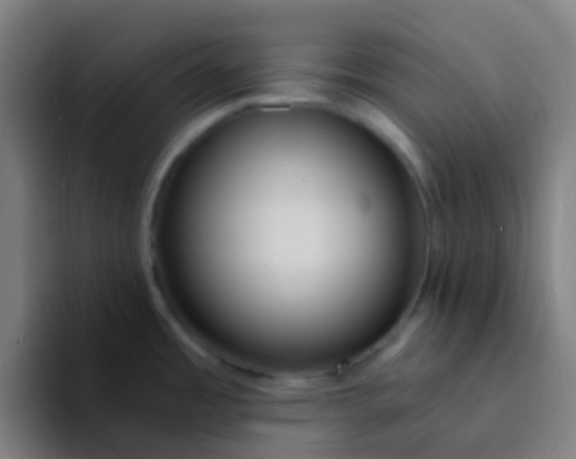 X0000094331485200711161940