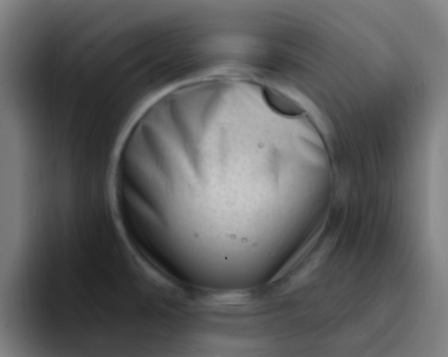 X0000094331486200711161940