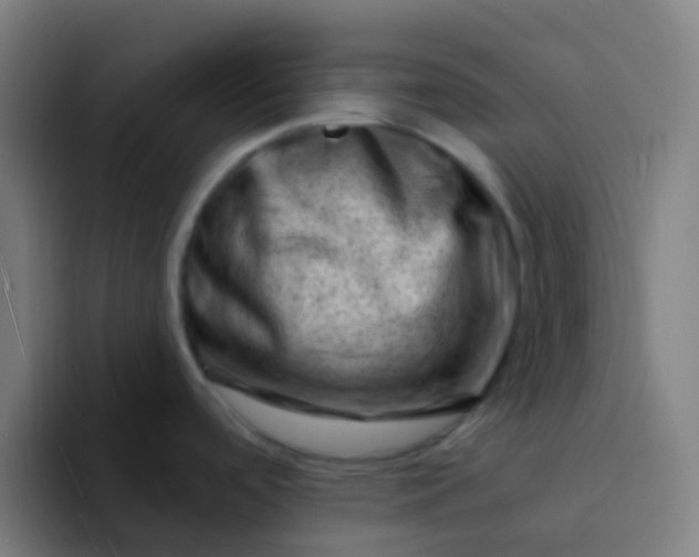 X0000094331488200711161940
