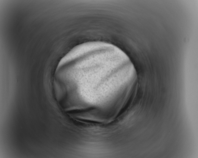 X0000094331489200711161939