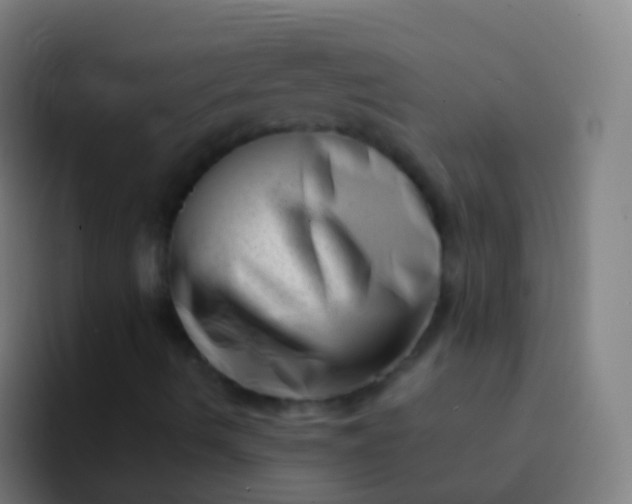 X0000094331490200711161939