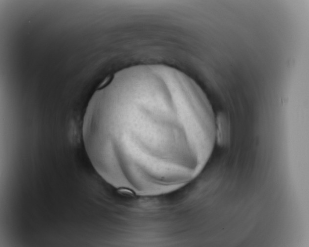 X0000094331491200711161939