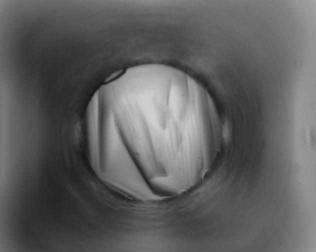 X0000094331492200711161939