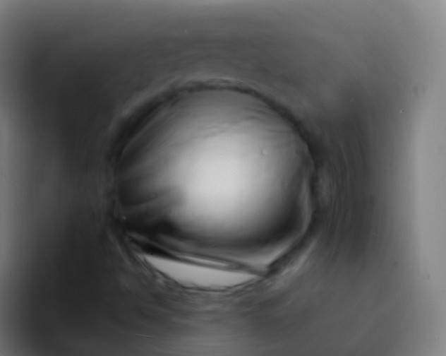 X0000094331494200711161939